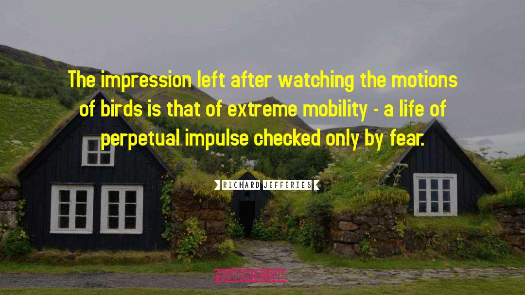 Richard Jefferies Quotes: The impression left after watching