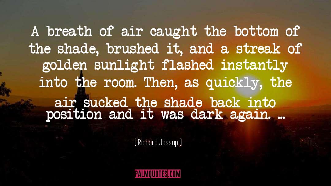 Richard Jessup Quotes: A breath of air caught