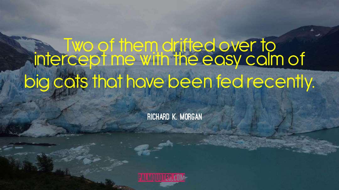 Richard K. Morgan Quotes: Two of them drifted over