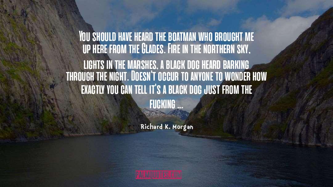 Richard K. Morgan Quotes: You should have heard the