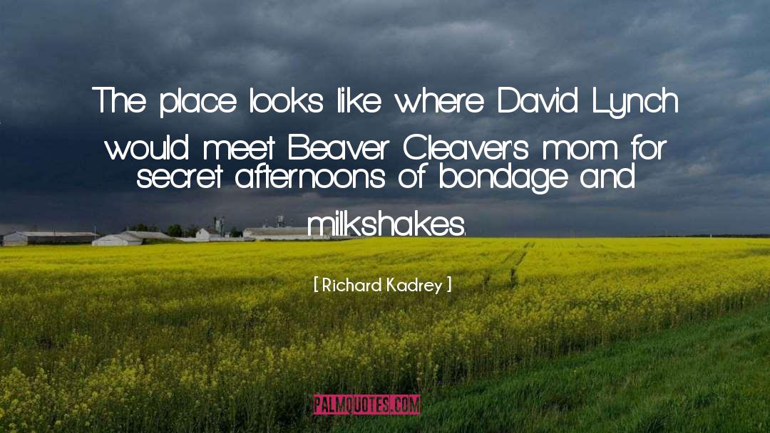 Richard Kadrey Quotes: The place looks like where