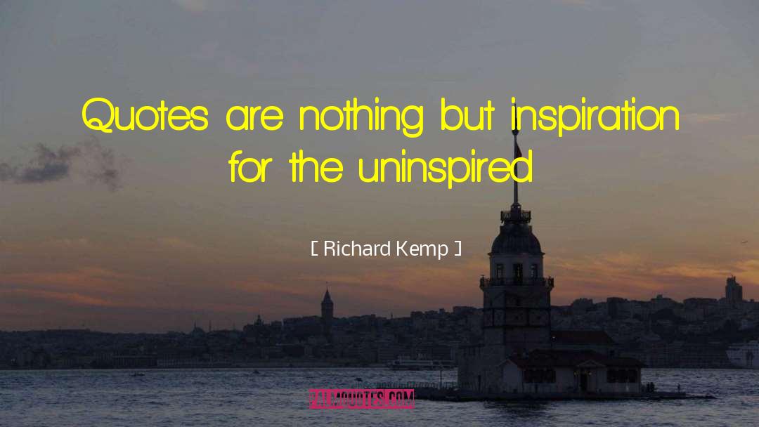 Richard Kemp Quotes: Quotes are nothing but inspiration