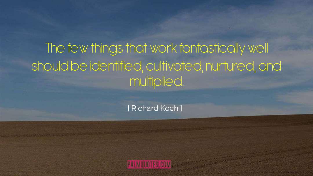 Richard Koch Quotes: The few things that work