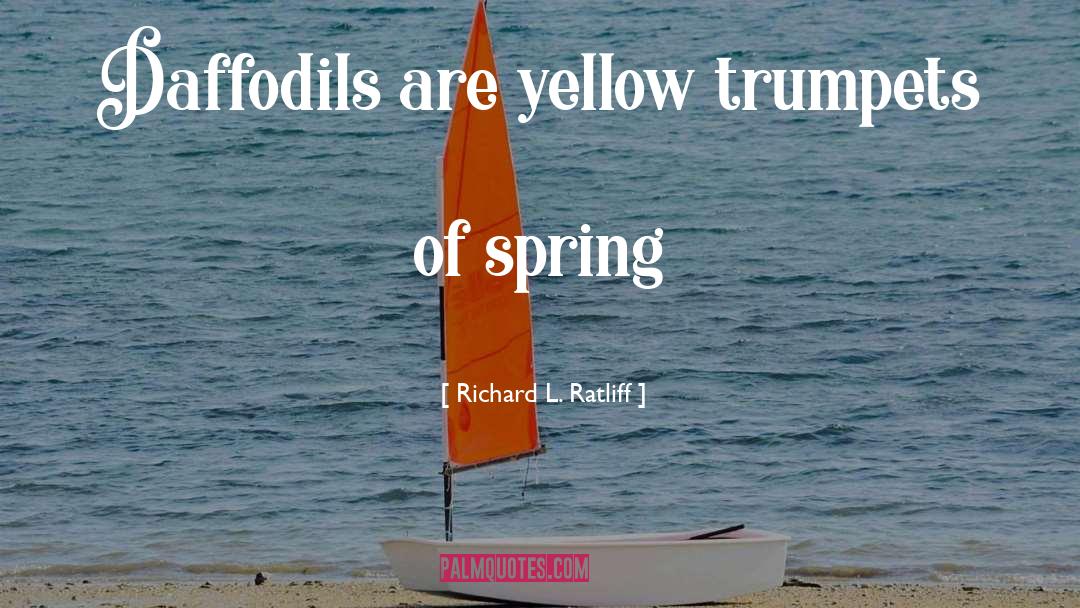 Richard L. Ratliff Quotes: Daffodils are yellow trumpets of