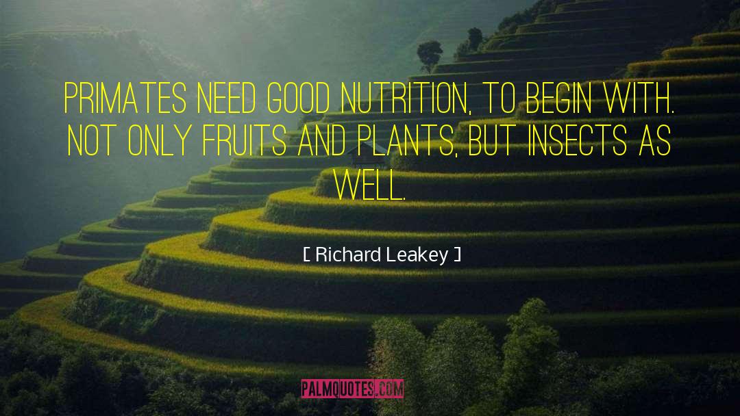 Richard Leakey Quotes: Primates need good nutrition, to