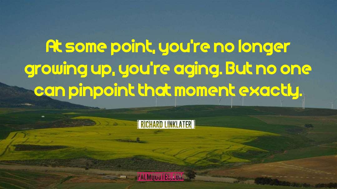 Richard Linklater Quotes: At some point, you're no