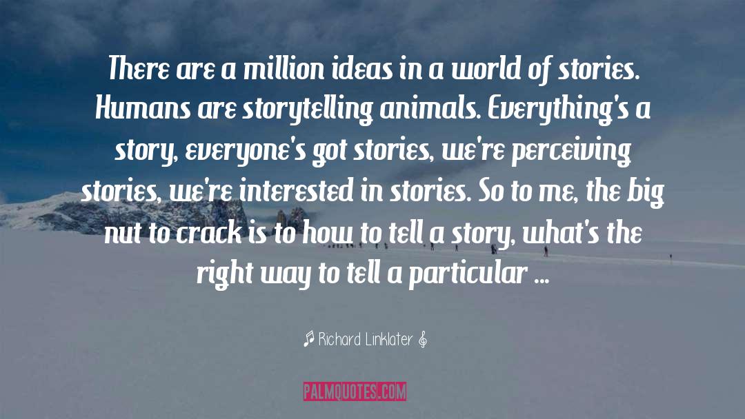Richard Linklater Quotes: There are a million ideas