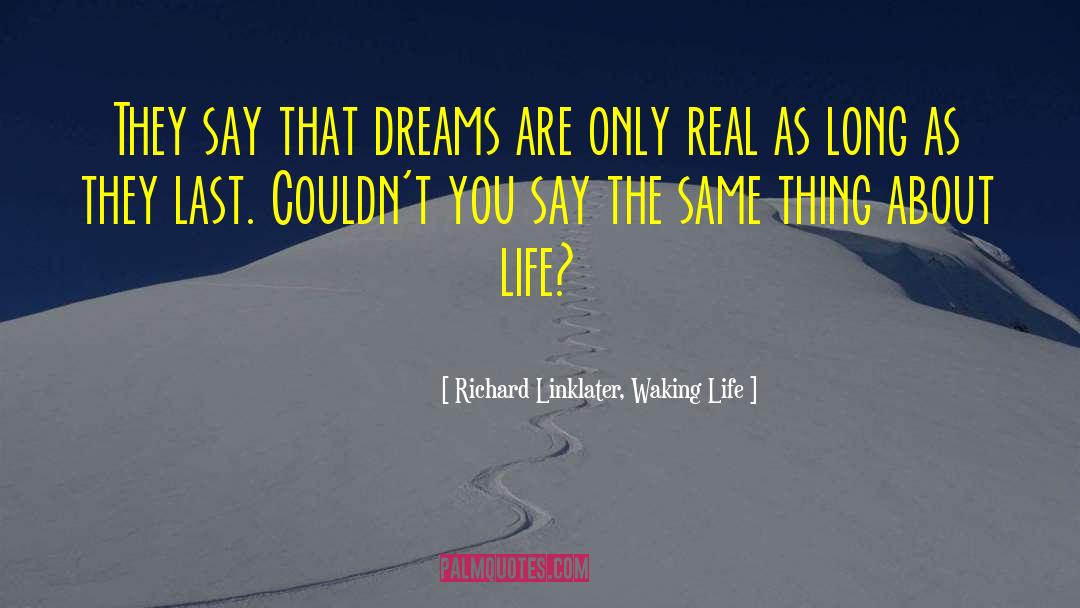 Richard Linklater, Waking Life Quotes: They say that dreams are