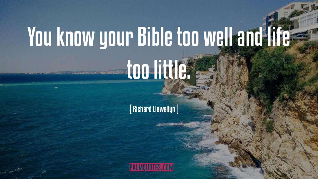 Richard Llewellyn Quotes: You know your Bible too
