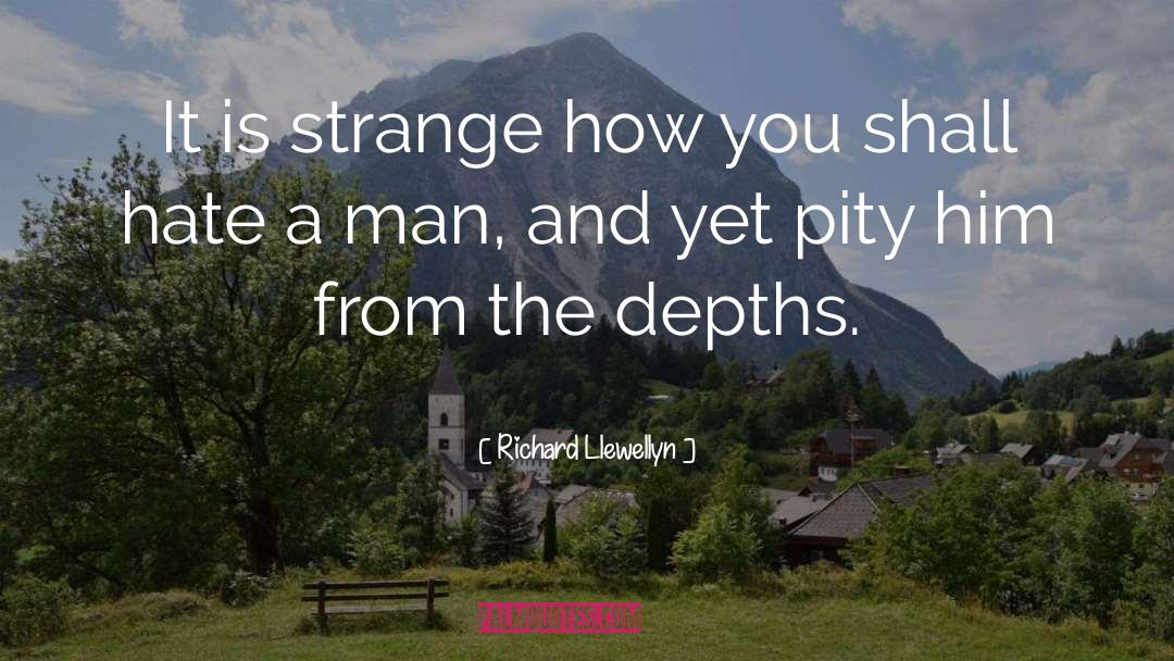 Richard Llewellyn Quotes: It is strange how you