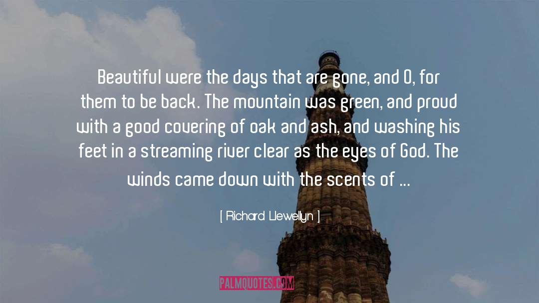 Richard Llewellyn Quotes: Beautiful were the days that