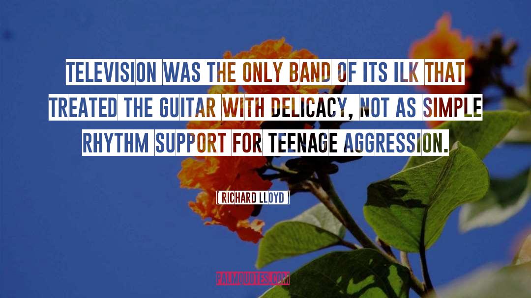 Richard Lloyd Quotes: Television was the only band