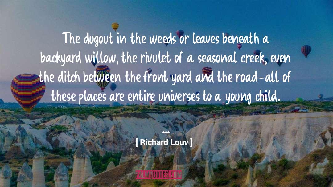 Richard Louv Quotes: The dugout in the weeds