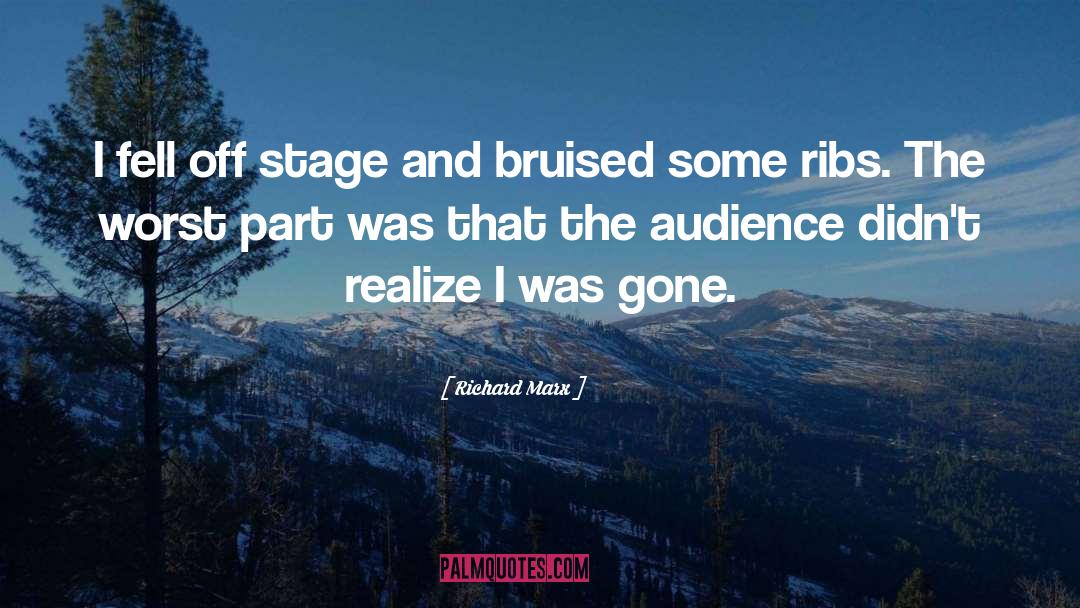 Richard Marx Quotes: I fell off stage and
