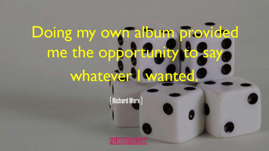 Richard Marx Quotes: Doing my own album provided