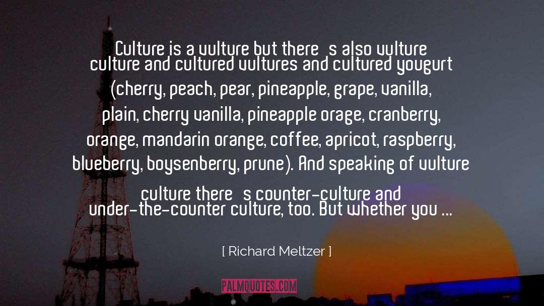 Richard Meltzer Quotes: Culture is a vulture but