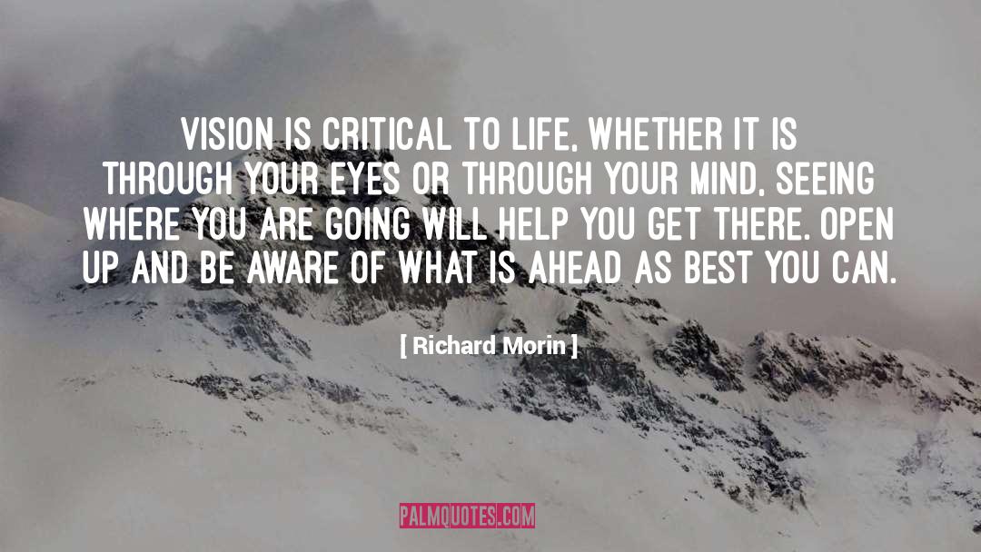 Richard Morin Quotes: Vision is critical to life,