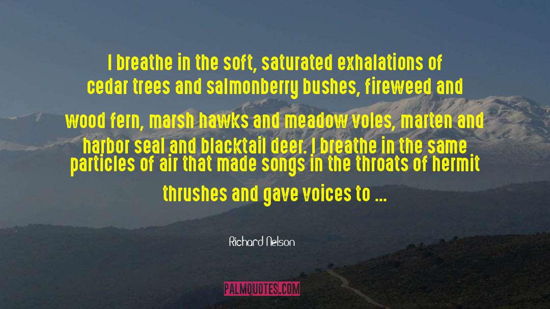 Richard Nelson Quotes: I breathe in the soft,