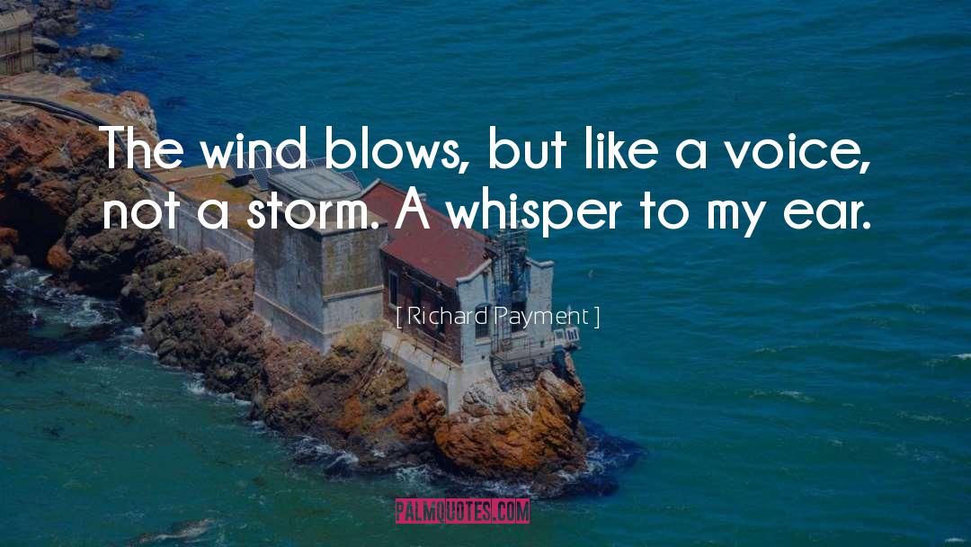 Richard Payment Quotes: The wind blows, but like