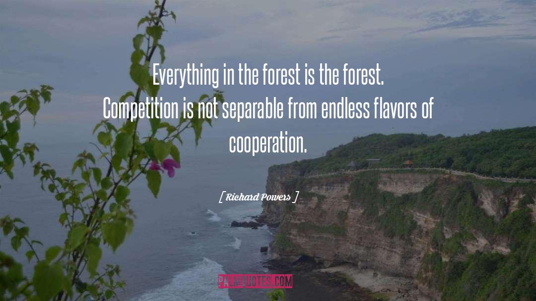 Richard Powers Quotes: Everything in the forest is