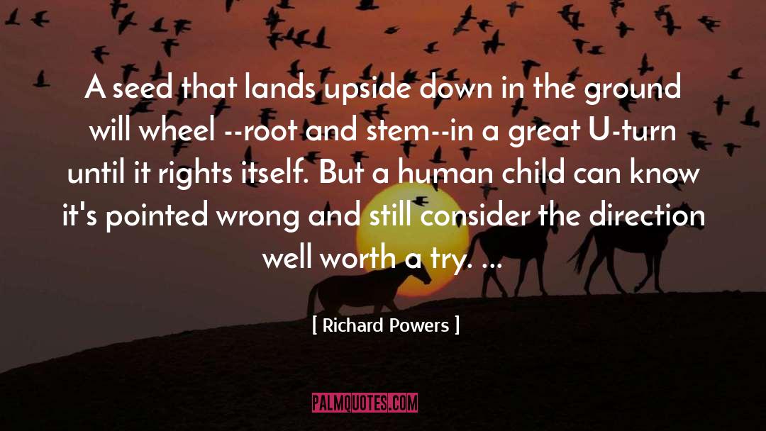Richard Powers Quotes: A seed that lands upside