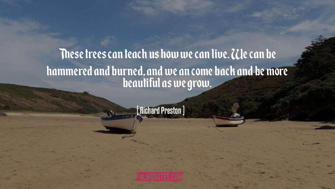 Richard Preston Quotes: These trees can teach us