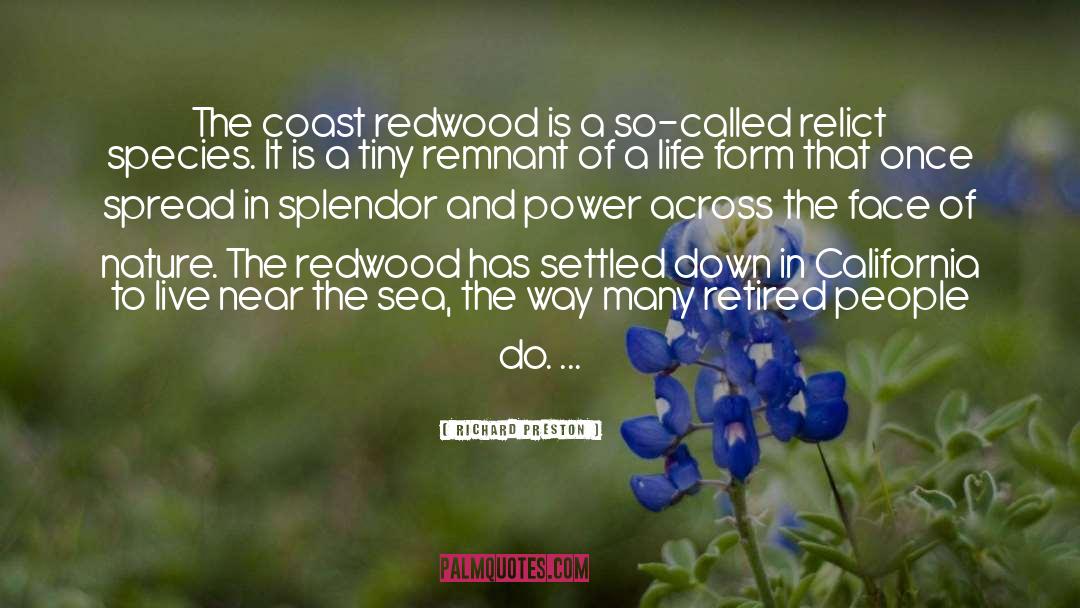 Richard Preston Quotes: The coast redwood is a