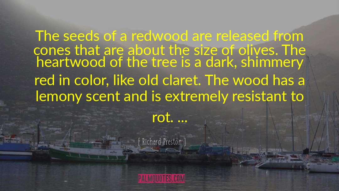 Richard Preston Quotes: The seeds of a redwood