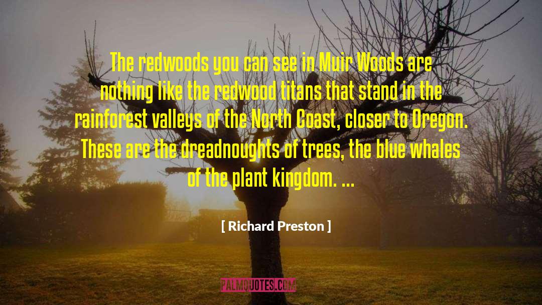 Richard Preston Quotes: The redwoods you can see