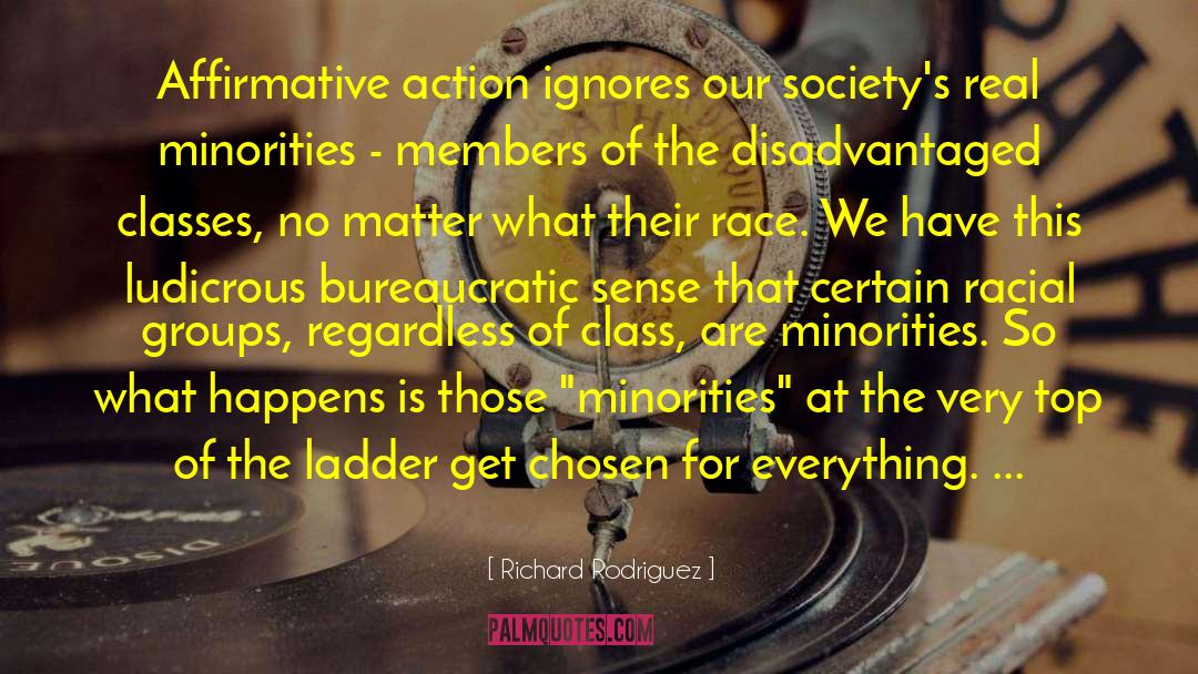 Richard Rodriguez Quotes: Affirmative action ignores our society's