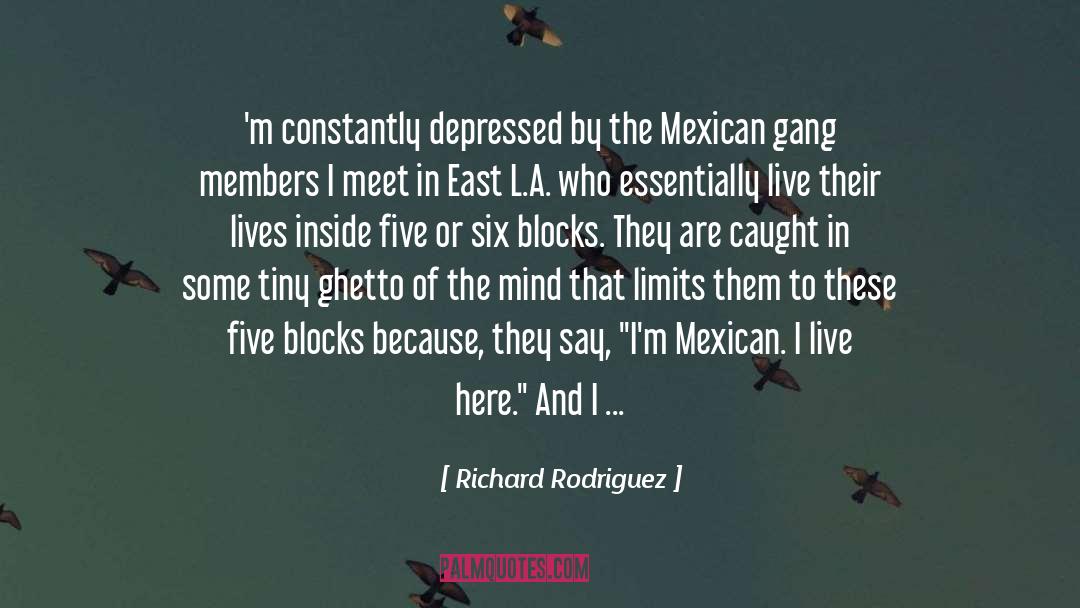 Richard Rodriguez Quotes: 'm constantly depressed by the