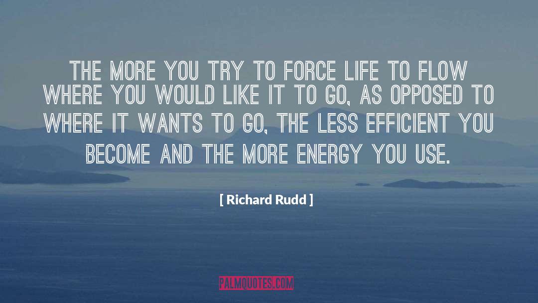 Richard Rudd Quotes: The more you try to