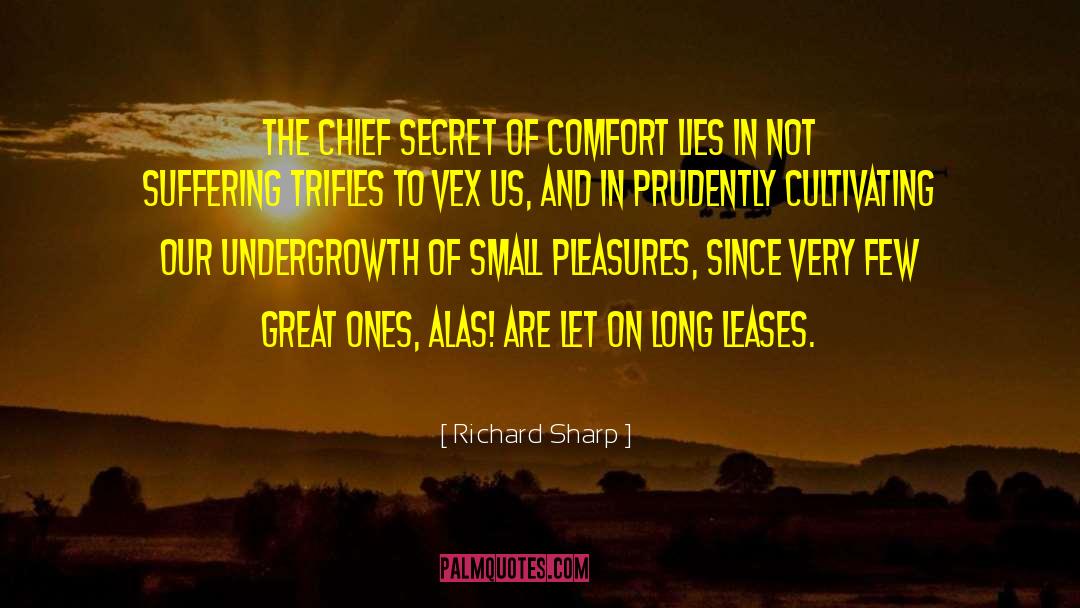 Richard Sharp Quotes: The chief secret of comfort