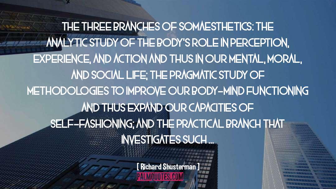 Richard Shusterman Quotes: The three branches of somaesthetics:
