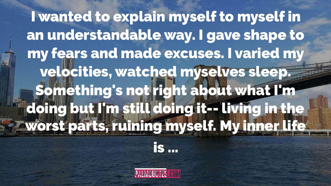 Richard Siken Quotes: I wanted to explain myself