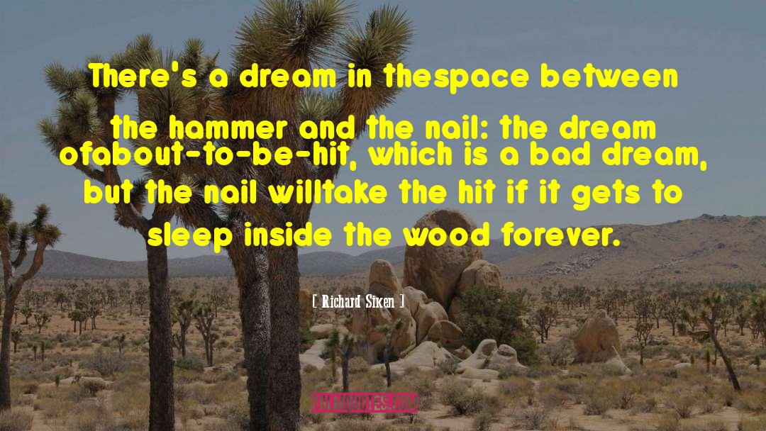 Richard Siken Quotes: There's a dream in the<br>space