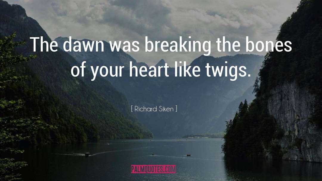 Richard Siken Quotes: The dawn was breaking the