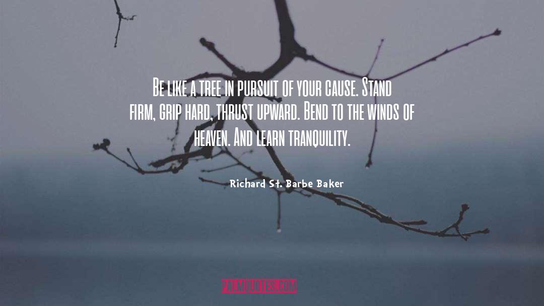 Richard St. Barbe Baker Quotes: Be like a tree in