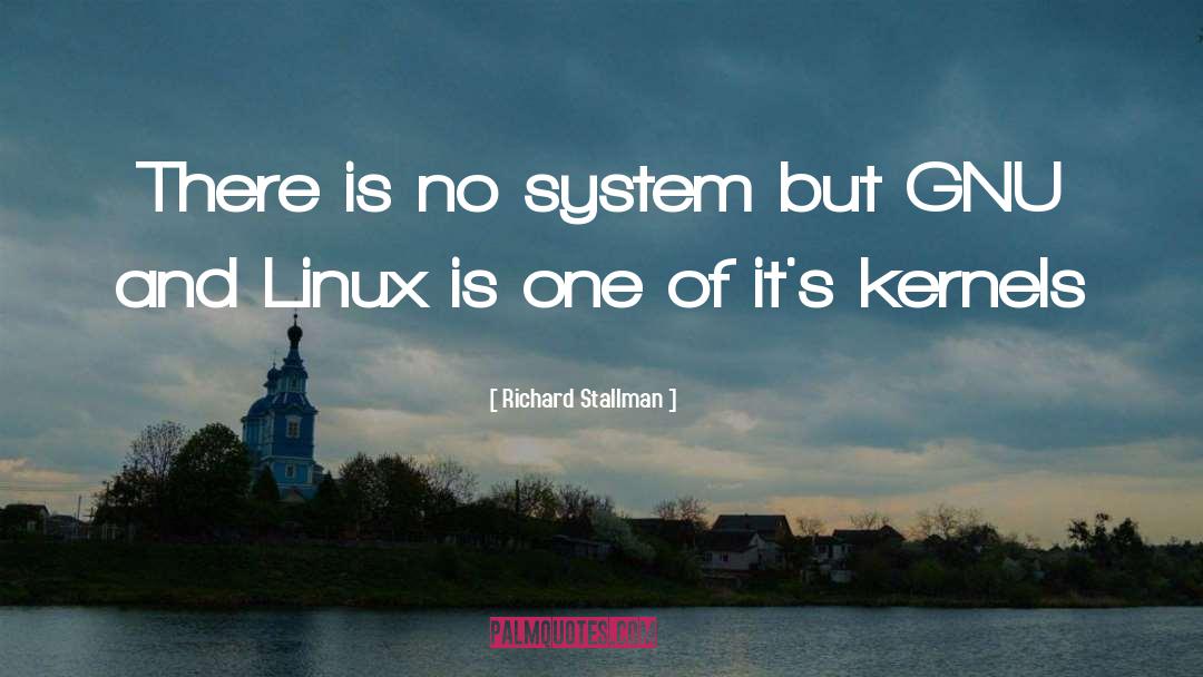 Richard Stallman Quotes: There is no system but