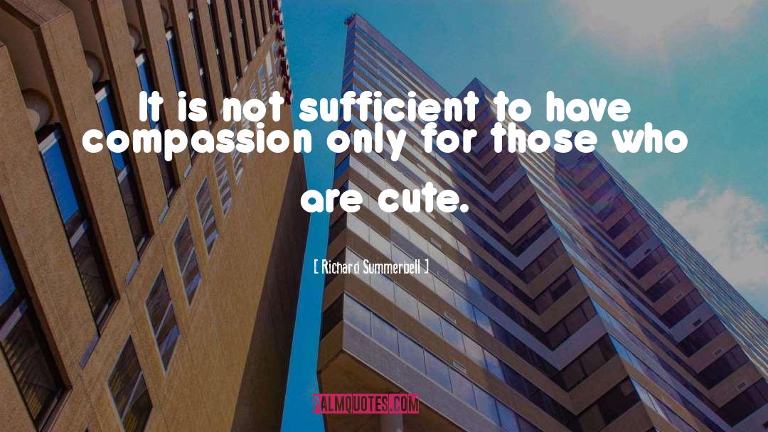 Richard Summerbell Quotes: It is not sufficient to