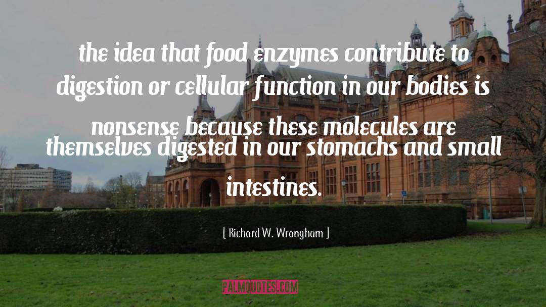 Richard W. Wrangham Quotes: the idea that food enzymes