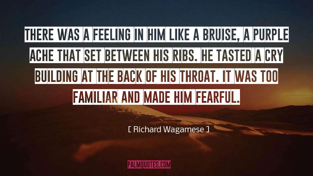 Richard Wagamese Quotes: There was a feeling in