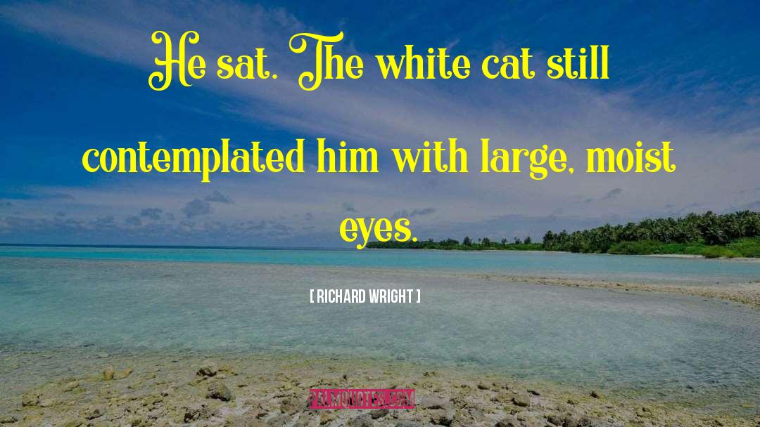 Richard Wright Quotes: He sat. The white cat