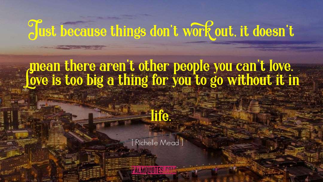 Richelle Mead Quotes: Just because things don't work