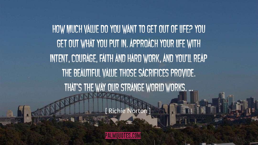 Richie Norton Quotes: How much value do you