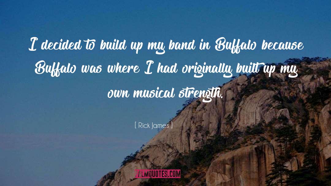 Rick James Quotes: I decided to build up