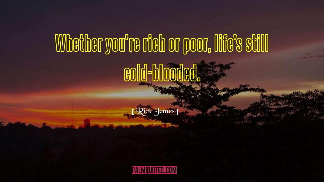 Rick James Quotes: Whether you're rich or poor,