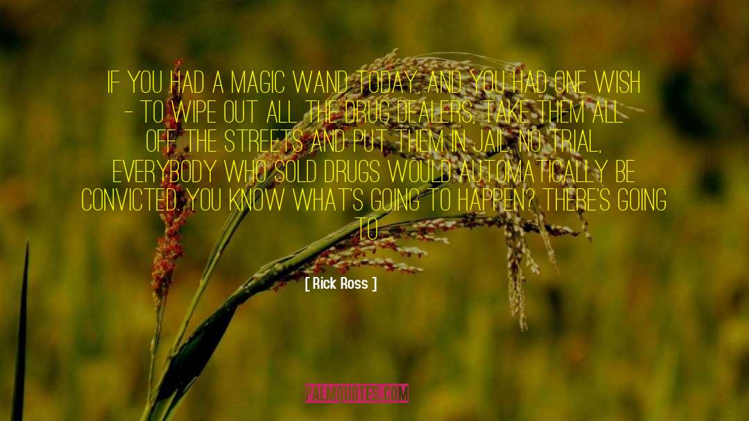 Rick Ross Quotes: If you had a magic