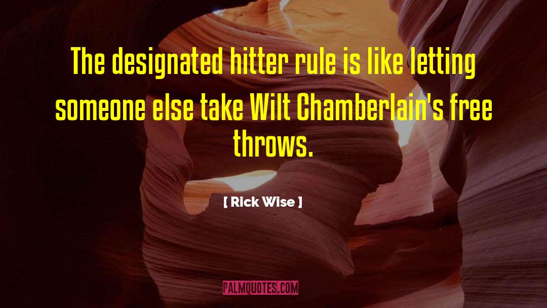 Rick Wise Quotes: The designated hitter rule is