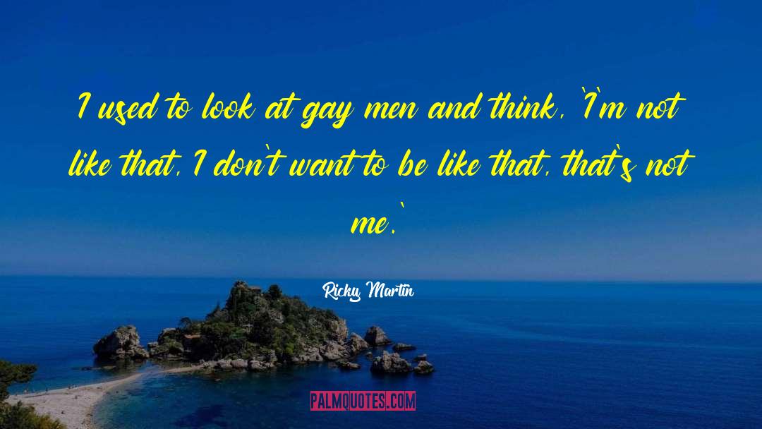 Ricky Martin Quotes: I used to look at